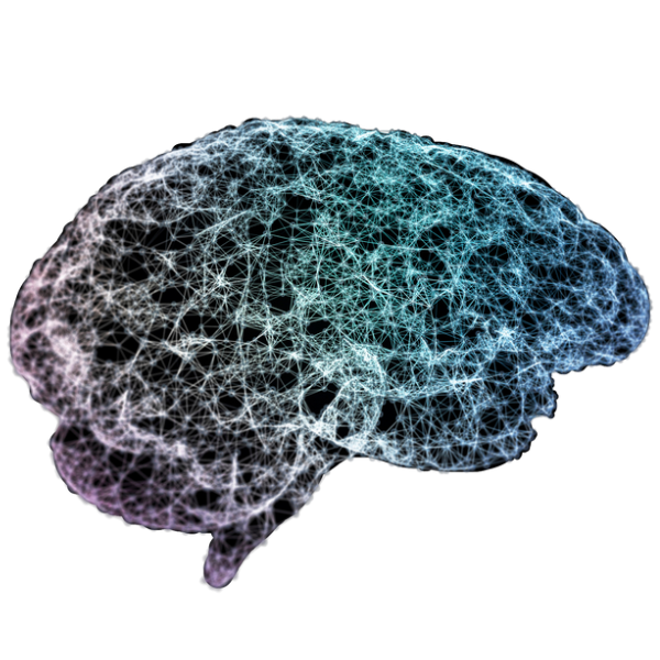 brain-mapping