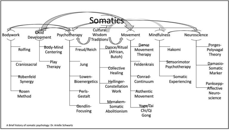 what-are-somatics